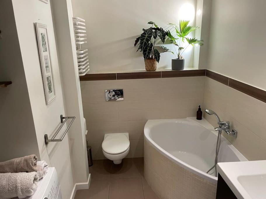 Appartement Comfortable In Bielany *